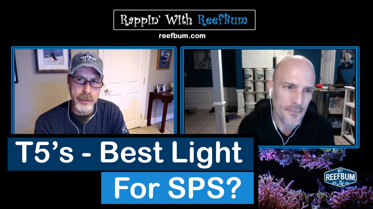 T5's - Best Light For SPS? Rappin' With ReefBum Sound Bite