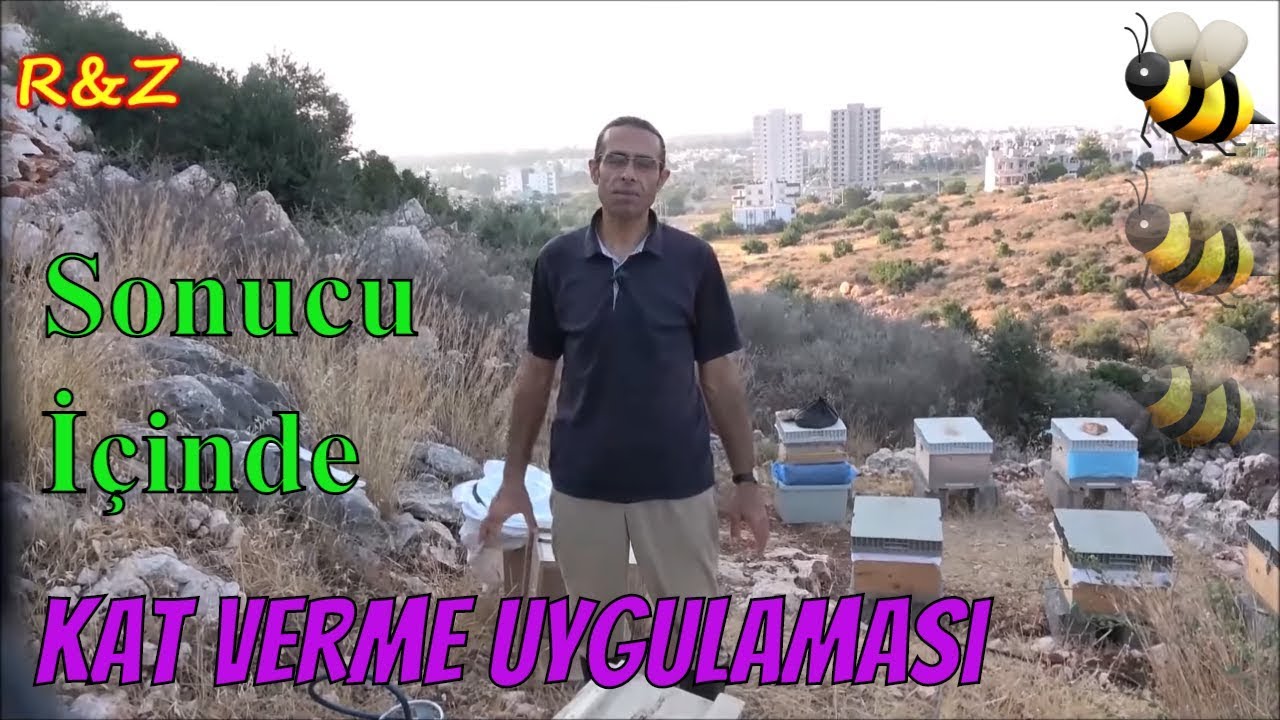 Kovana Kat Verme Nasıl Yapılır?