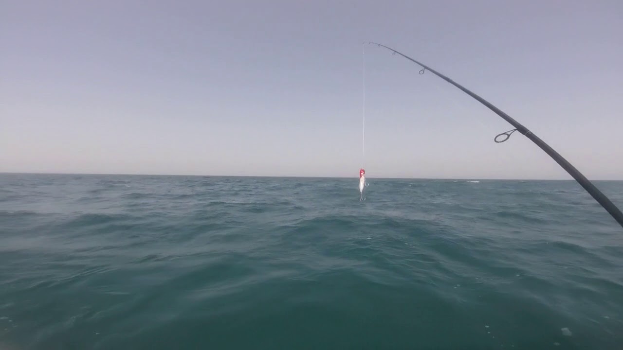 Queenfishing(7)150618
