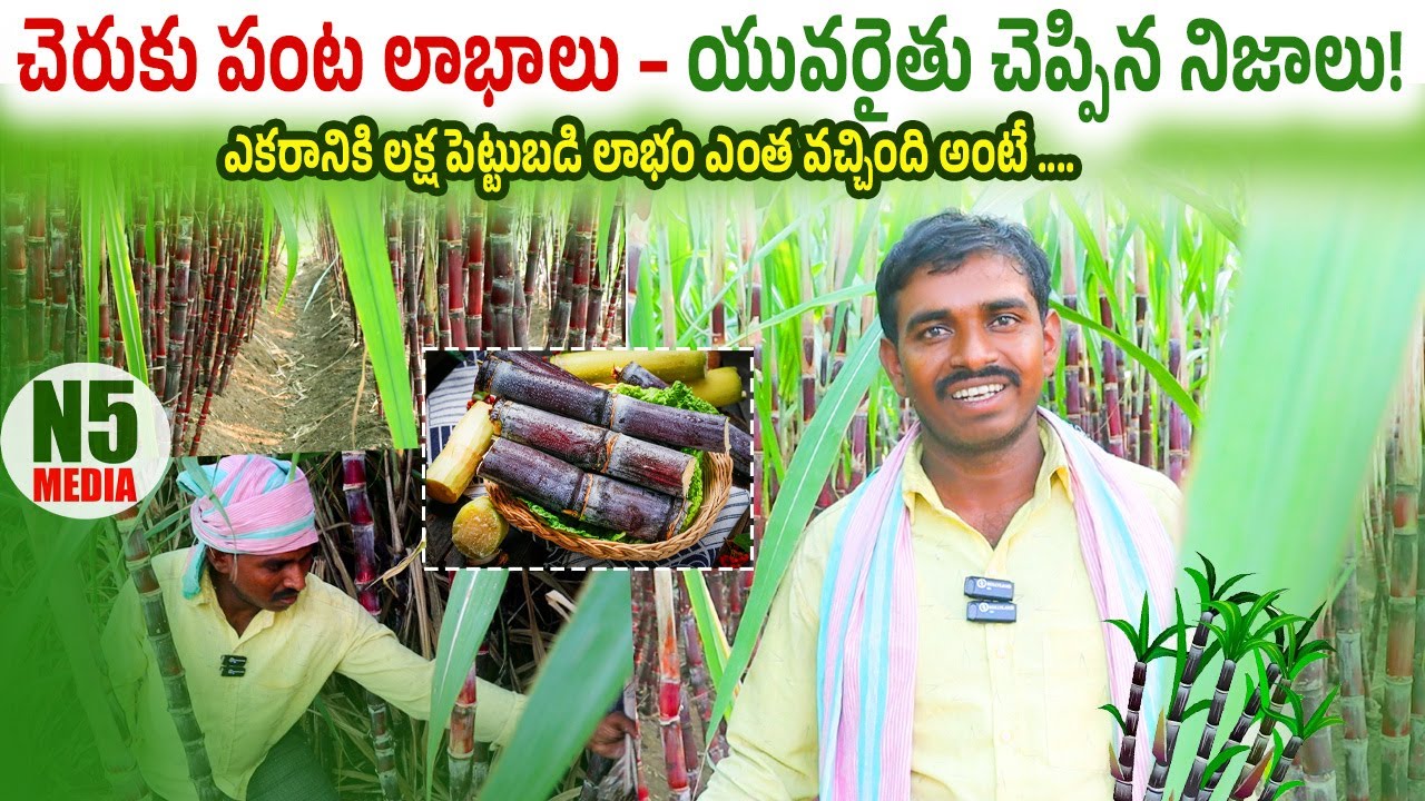 Young Farmer Reveals the Real Profits in Sugarcane Farming! చెరుకే బంగారం! యువ రైతు రియల్ లాభాలు