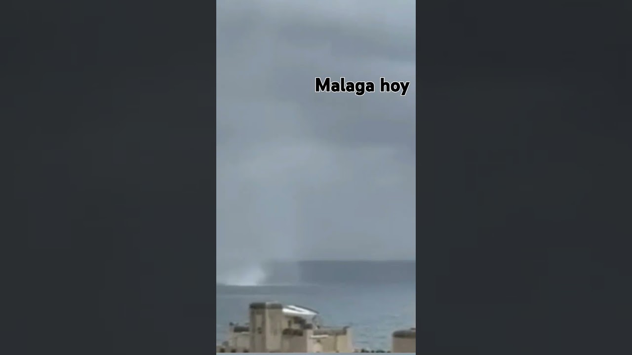 Malaga hoy manga marina