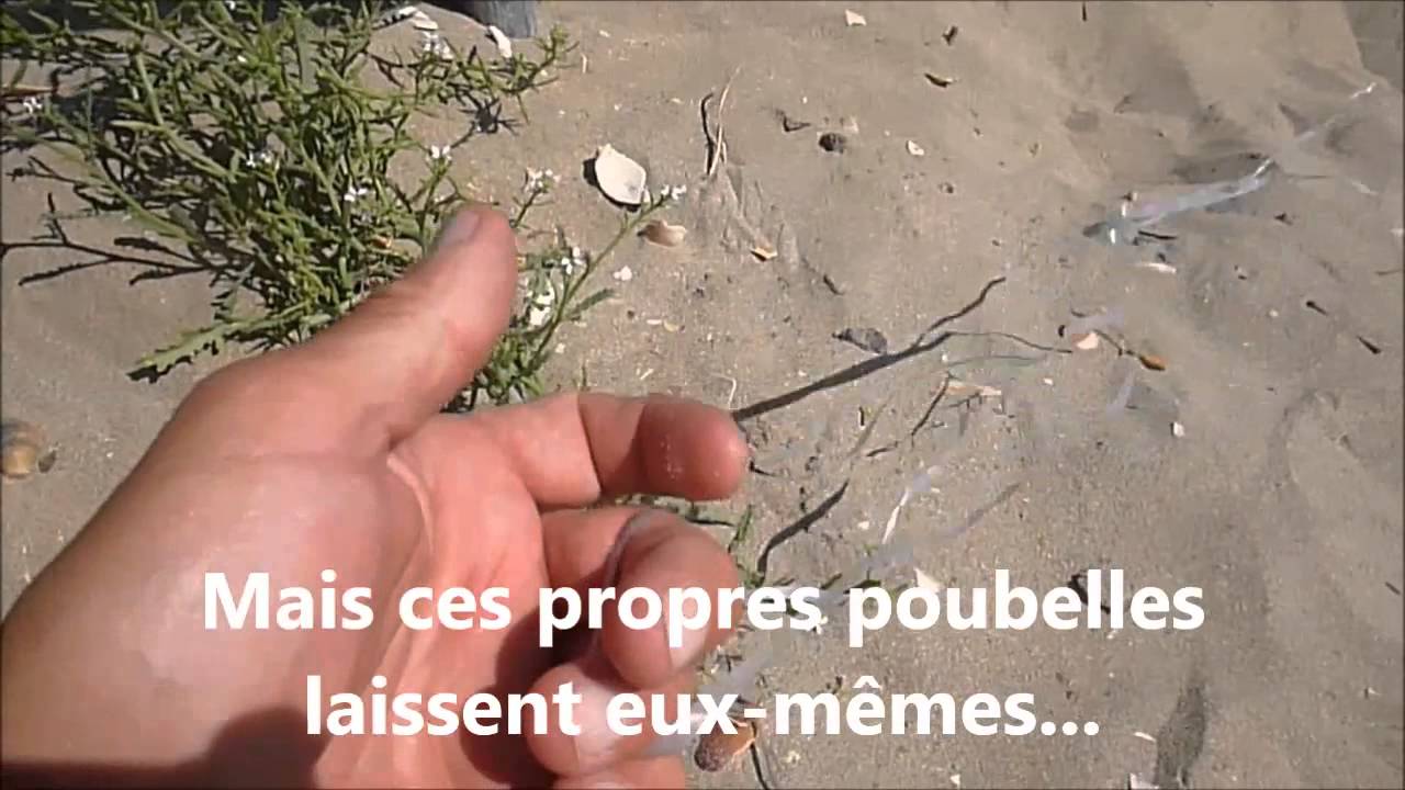 Cochonneries sur la plage d'Agde