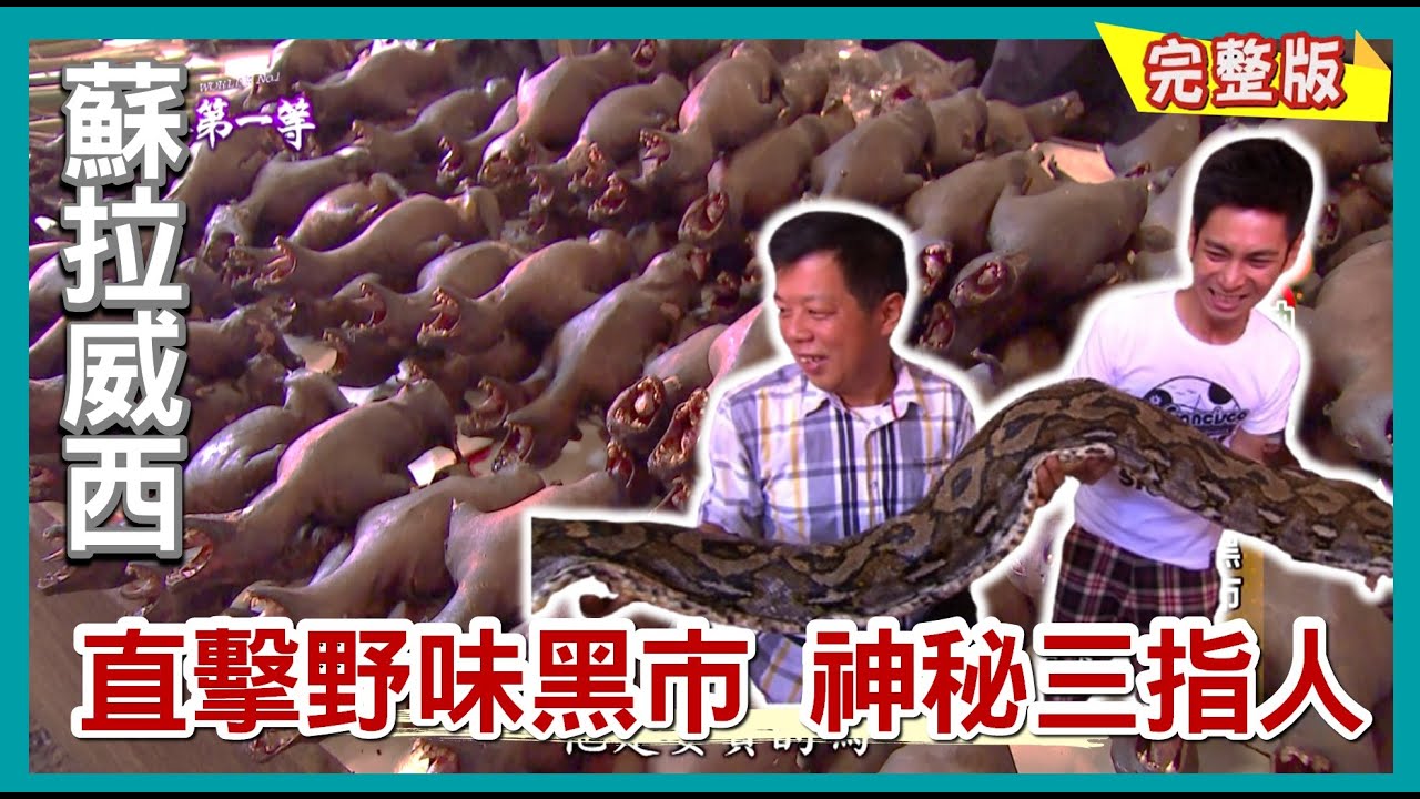 【印尼 蘇拉威西】野味市場 蝙蝠老鼠肉蟒蛇肉/ 火山湖找飛魚 蜻蜓幼蟲/印尼版搶孤 /三指人家族 捕蝦密技《世界第一等》578集完整版