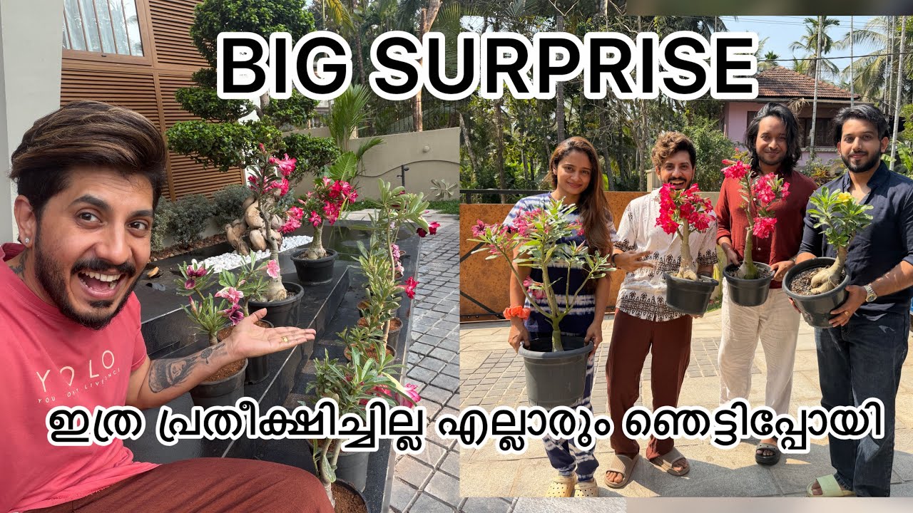 കിടിലൻ സർപ്രൈസ് 😍💕 ആദ്യമായി കണ്ടപ്പോൾ ഞെട്ടി പോയി 