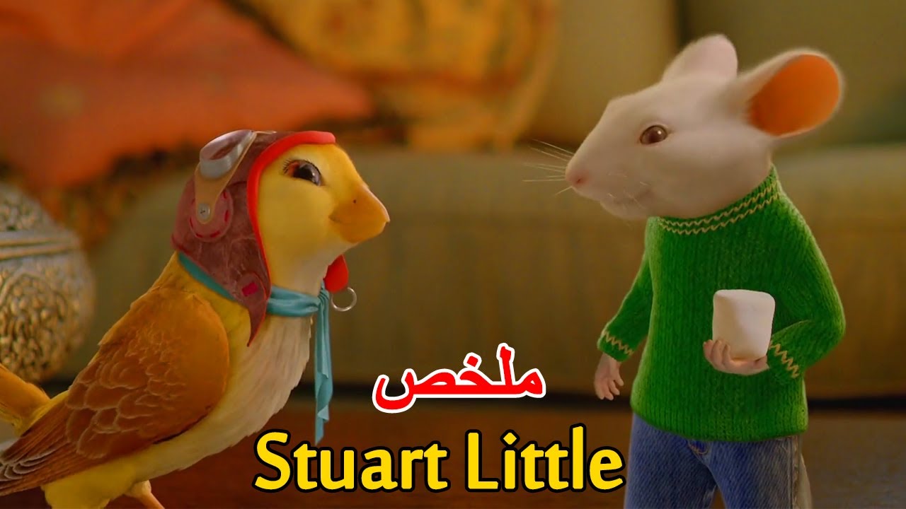 عائلة تقوم بتربية فأر🐭فتعرف على عصفور الذي سببب له الكتير من المشاكل😨