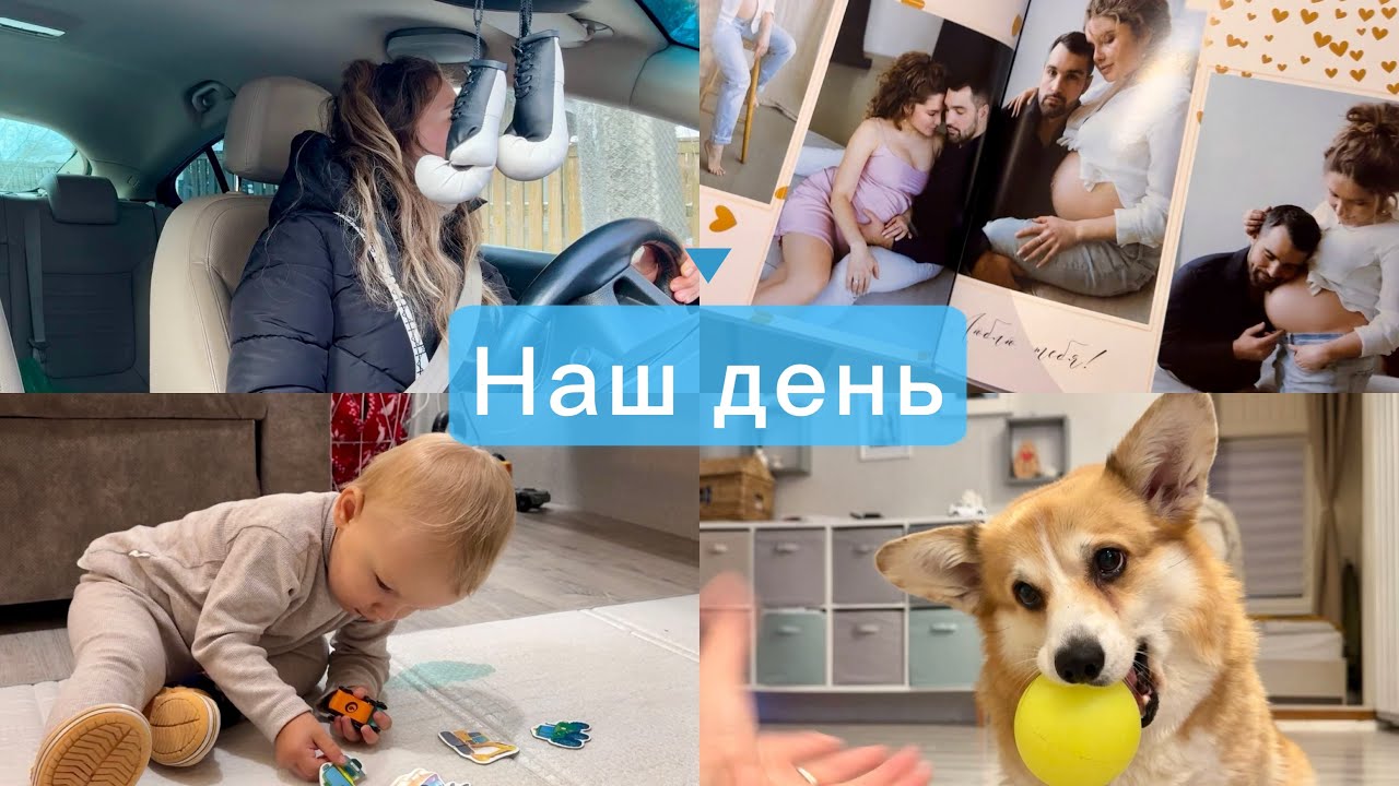 беременная фотосессия 2024 📸как проходит разделение собак🐶 VLOG одного дня