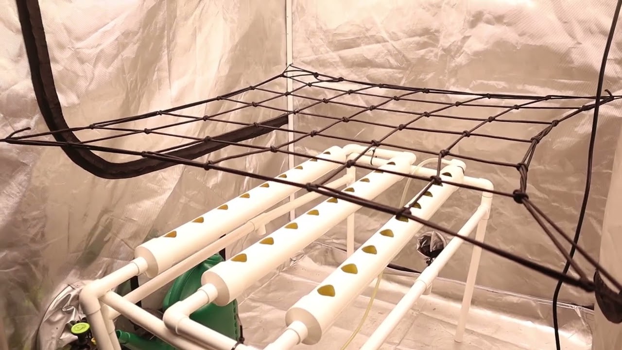 Elastic Trellis Netting - Herbal House NZ