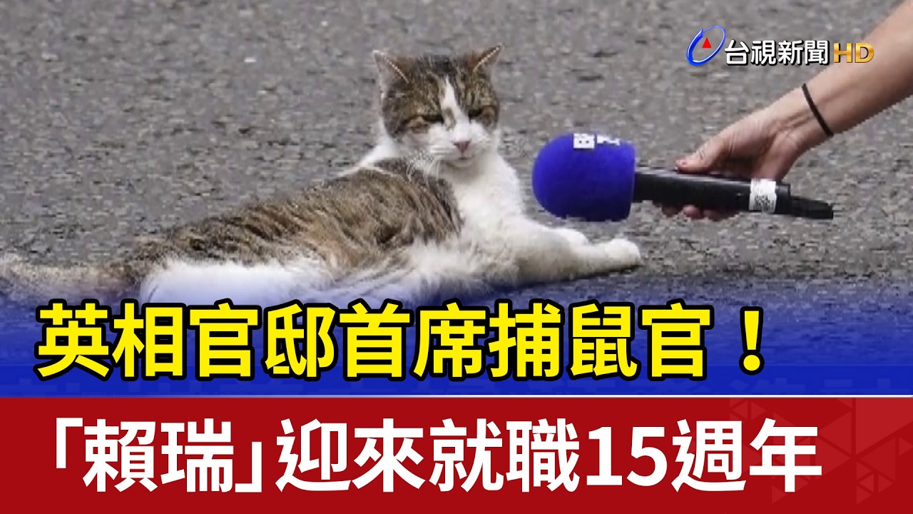英相官邸首席捕鼠官！ 「賴瑞」迎來就職15週年
