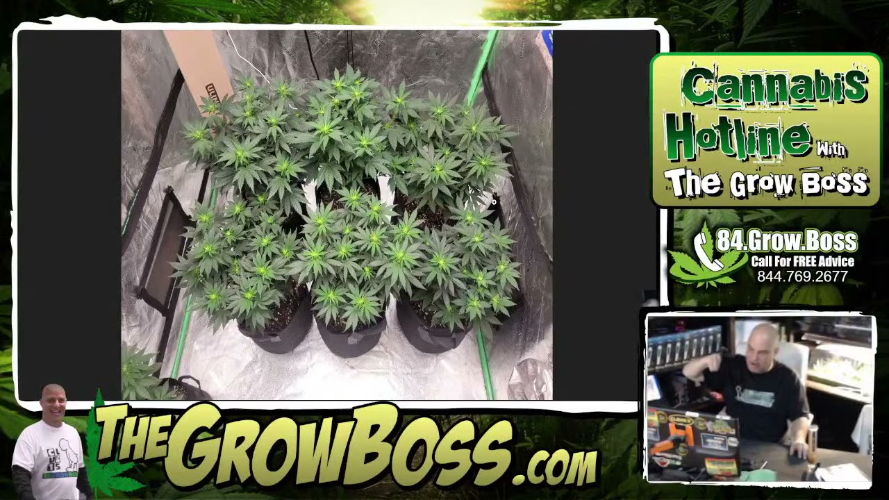 Garden Review- 11-17-2021 with the grow boss