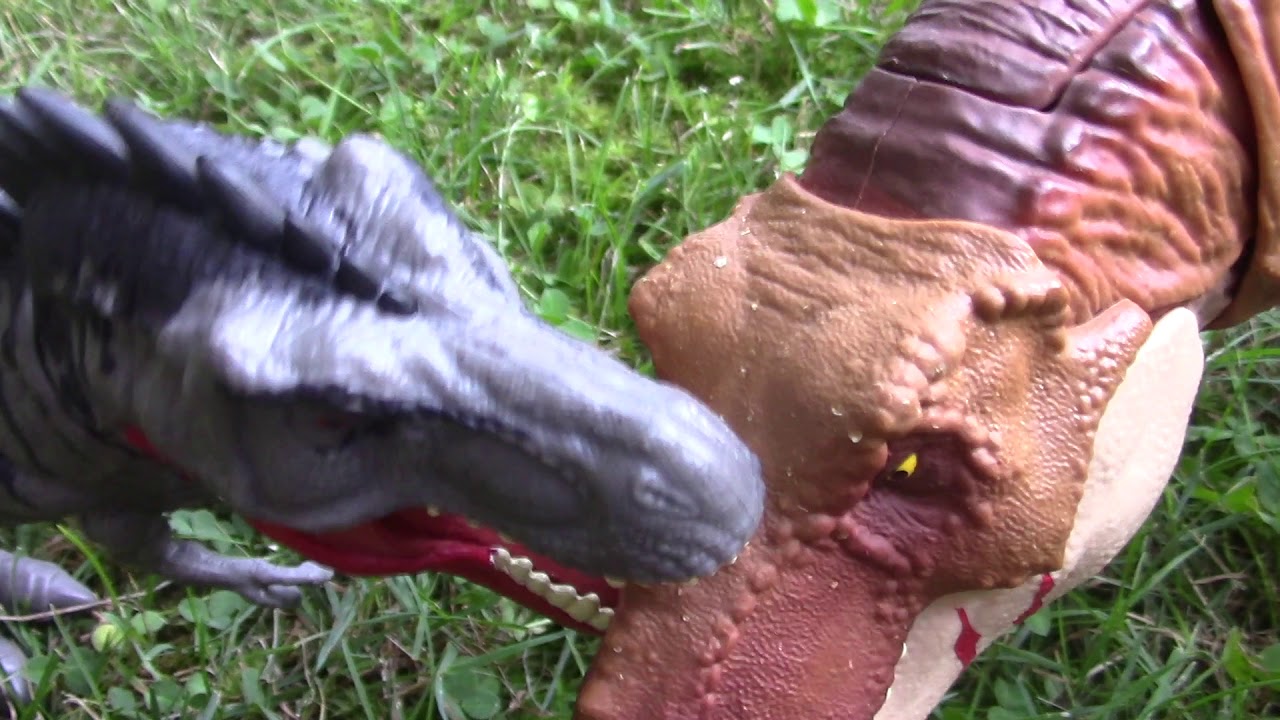 Tyrannosaurus vs. Tarbosaurus