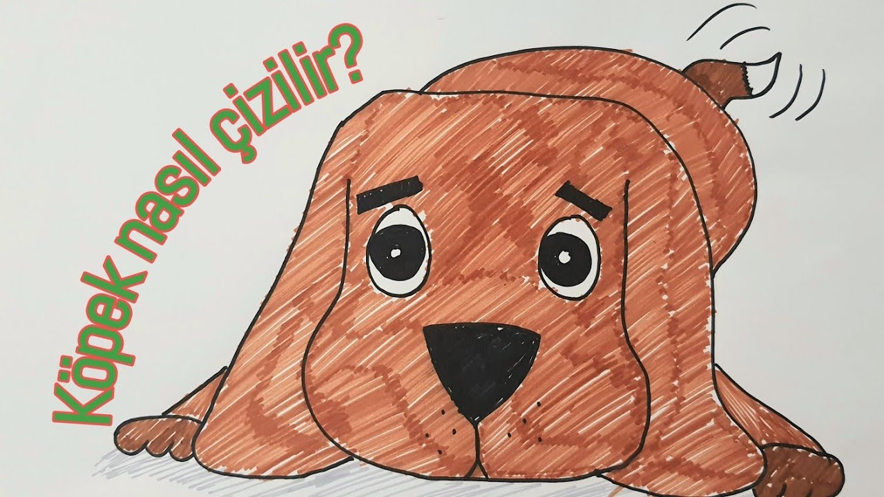 🐶Köpek nasıl çizilir? - 🐶Köpek çizimi -🐶 En kolay köpek çizimi
