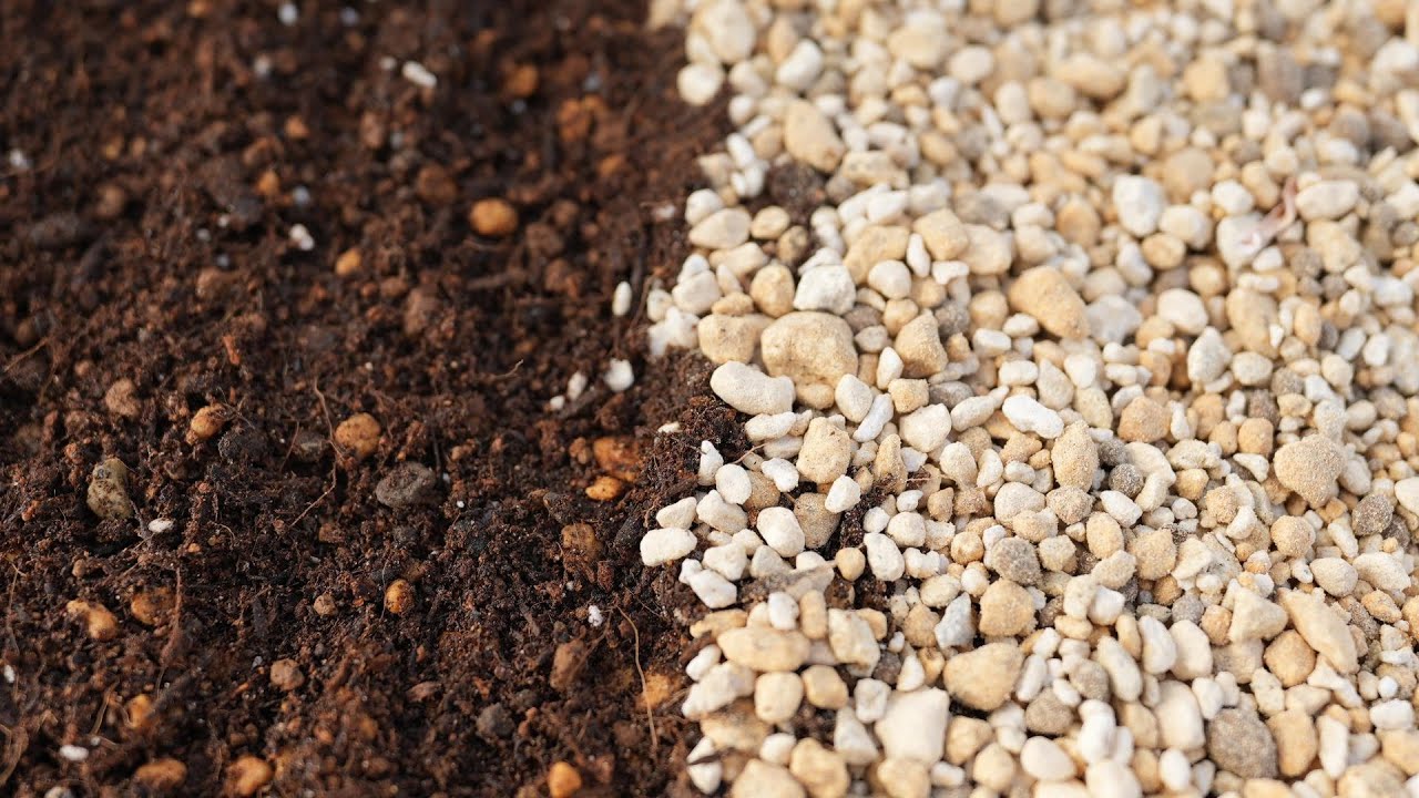 #343【まずはこれから】多肉植物の土。この2種類から始めよう。土のつくり方。