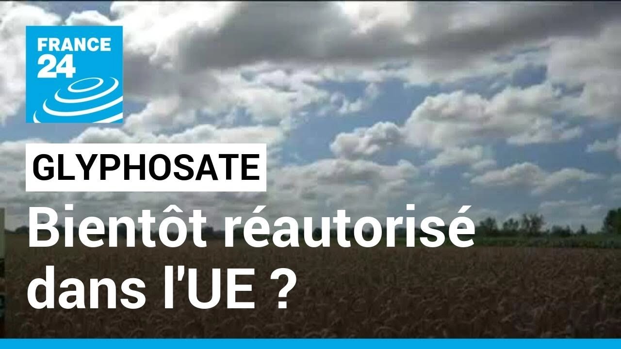 Glyphosate : bientôt réautorisé dans l'UE ? • FRANCE 24