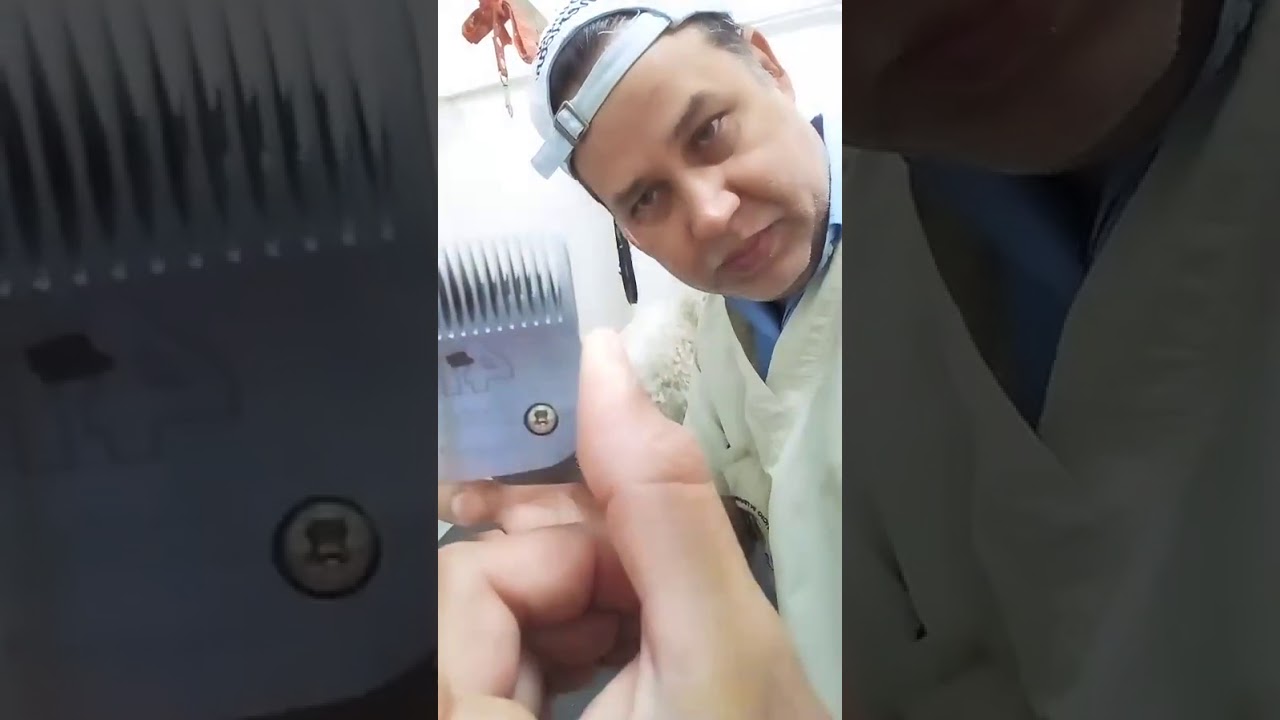 cuchillas oster y andis