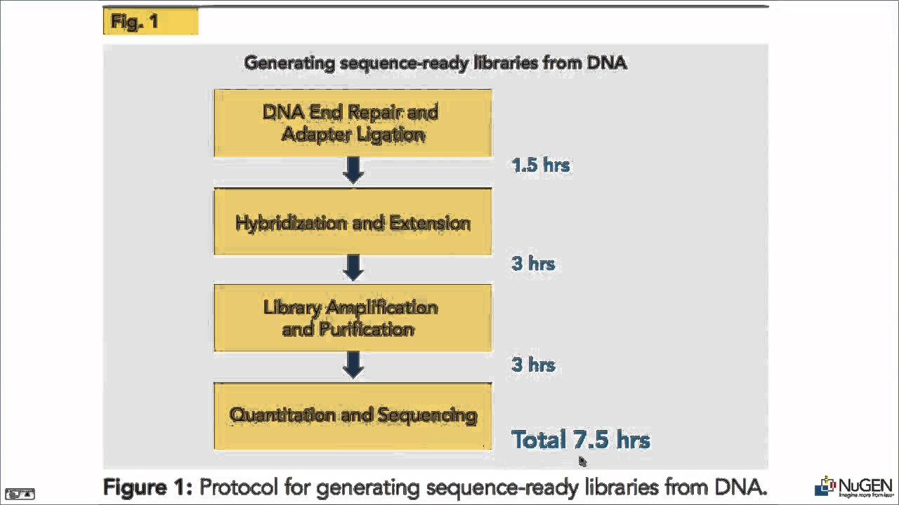 Targeted Resequencing with Single Primer Enrichment Technology