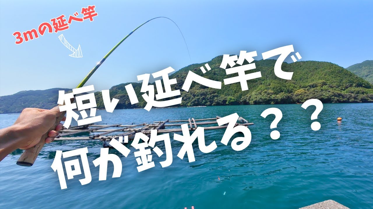 3m延べ竿で海釣りすると何が釣れる？