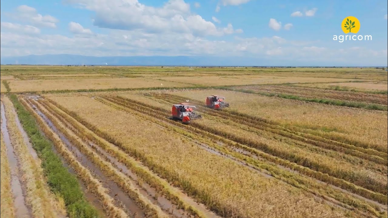 Harvester - Kubota DC99