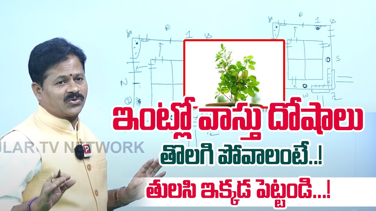 Tulasi Tree Best Placement Tips for Your Home | Domala Nagendra Vastu Tips | Telugu Popular TV