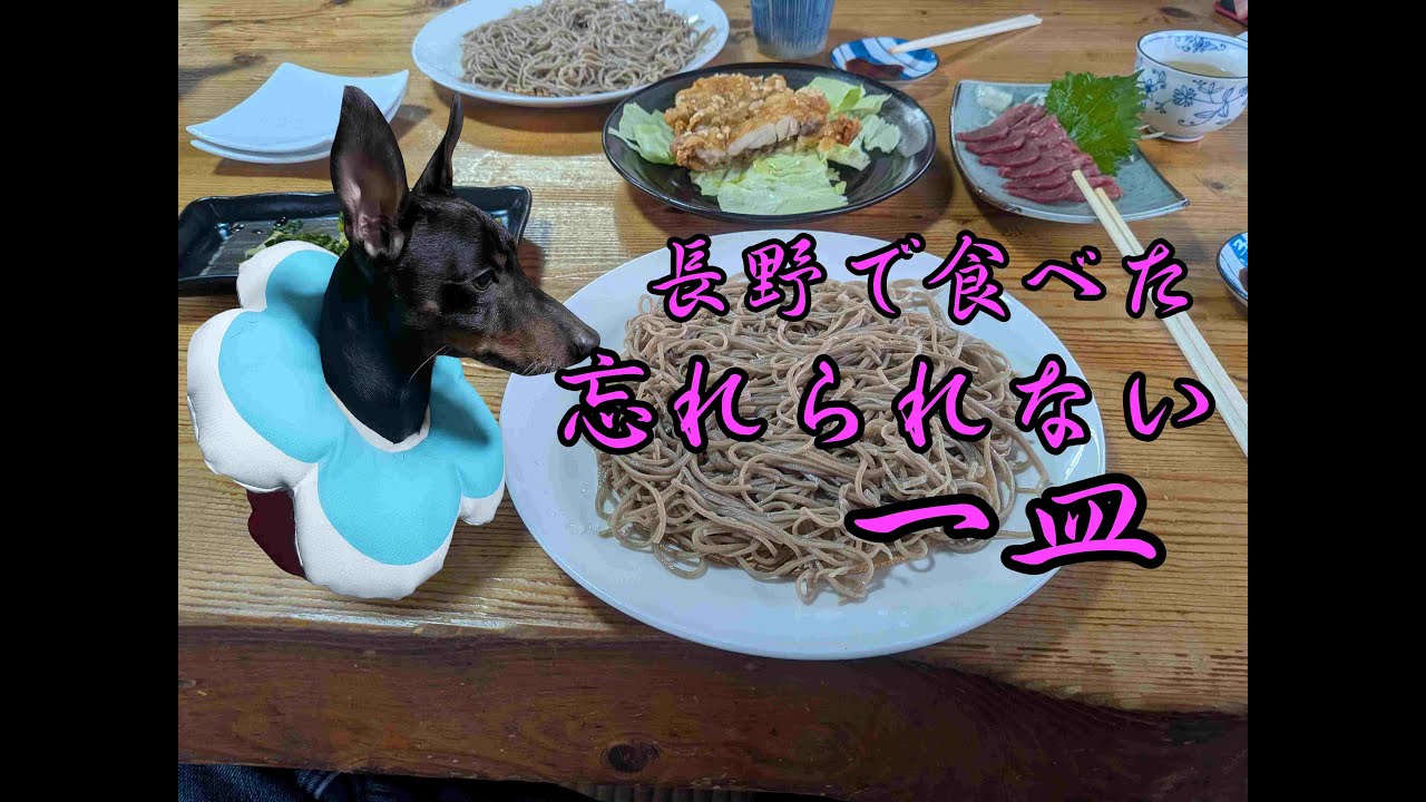 長野で味わう十割そばの余韻と、宮川朝市のやさしい朝