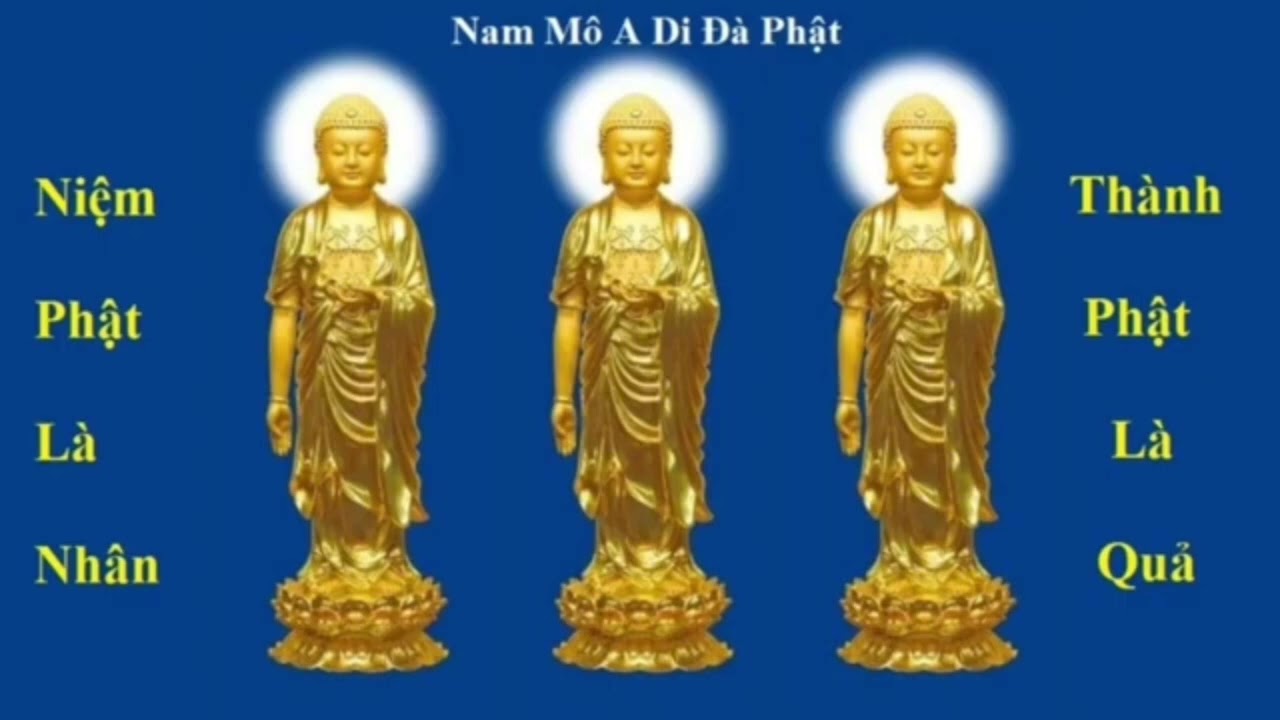 10 tháng 2, 2025
