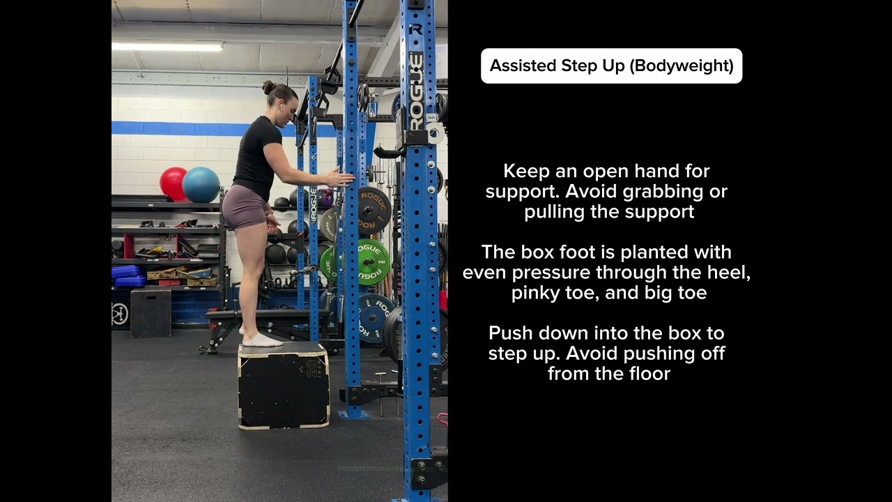 Bodyweight Assisted Step Up