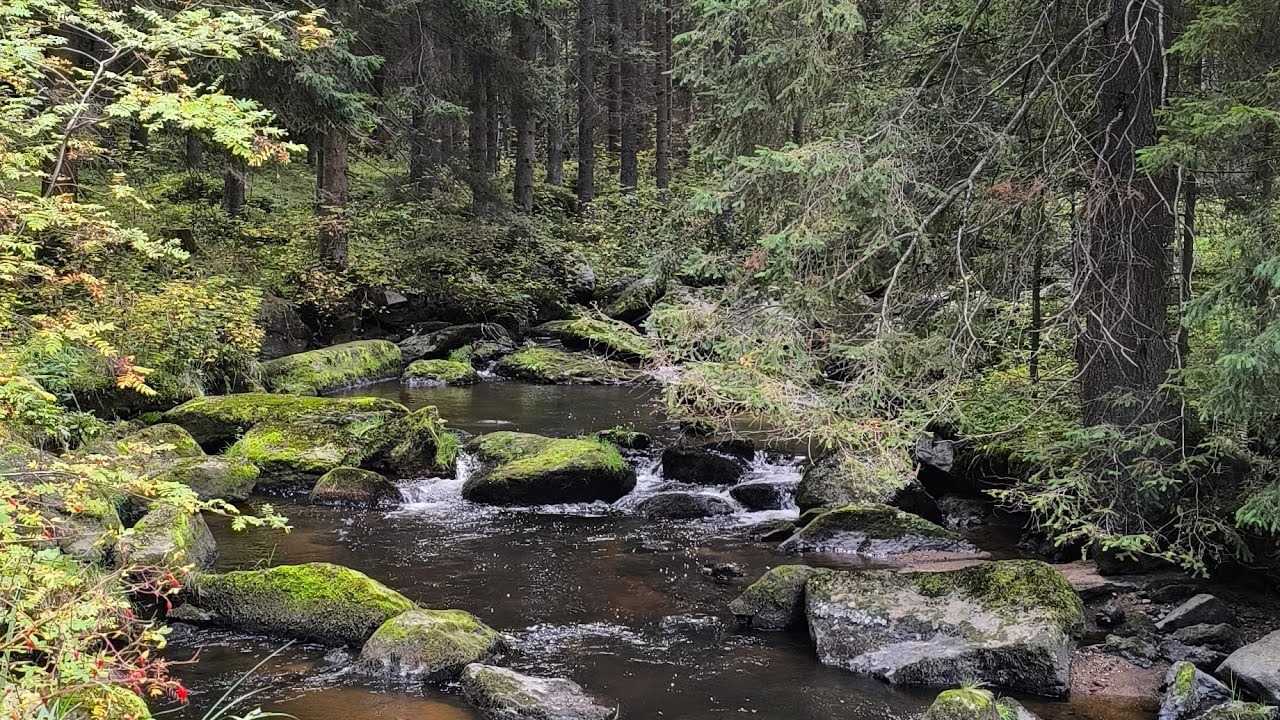 MTB Höllmühl Strecke Rapottenstein 