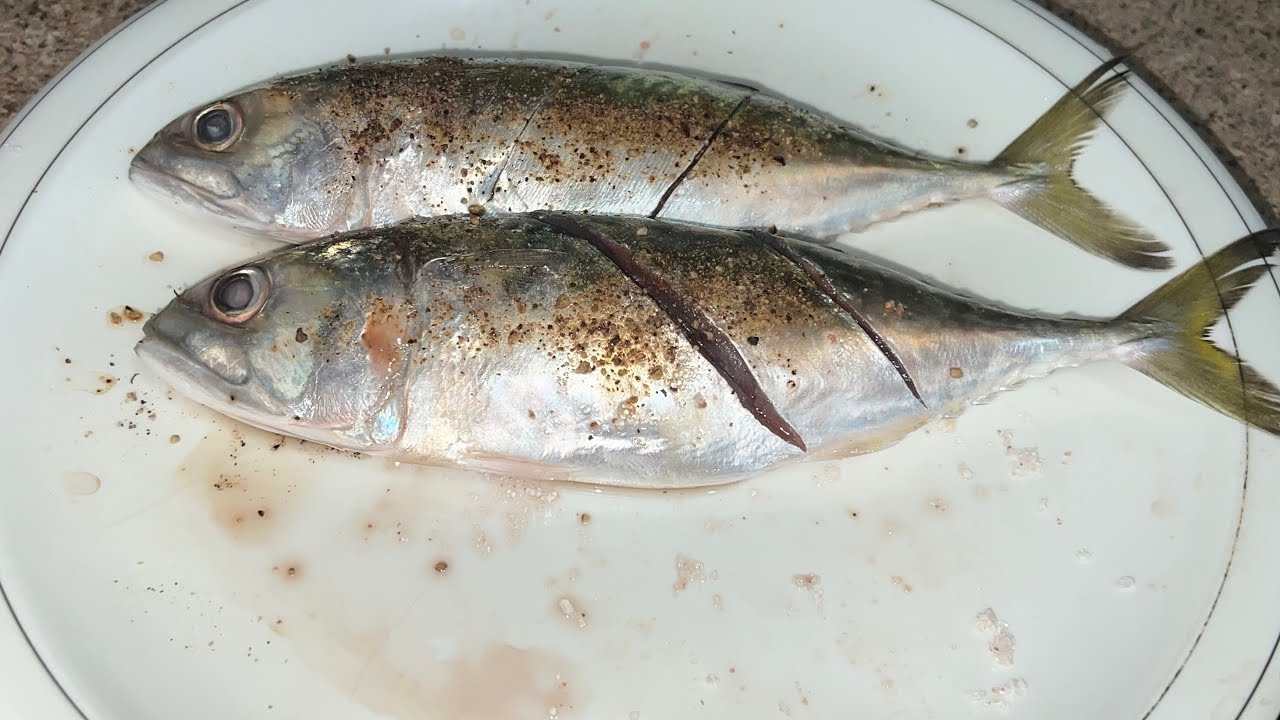 Fish 🐟 in foraying 