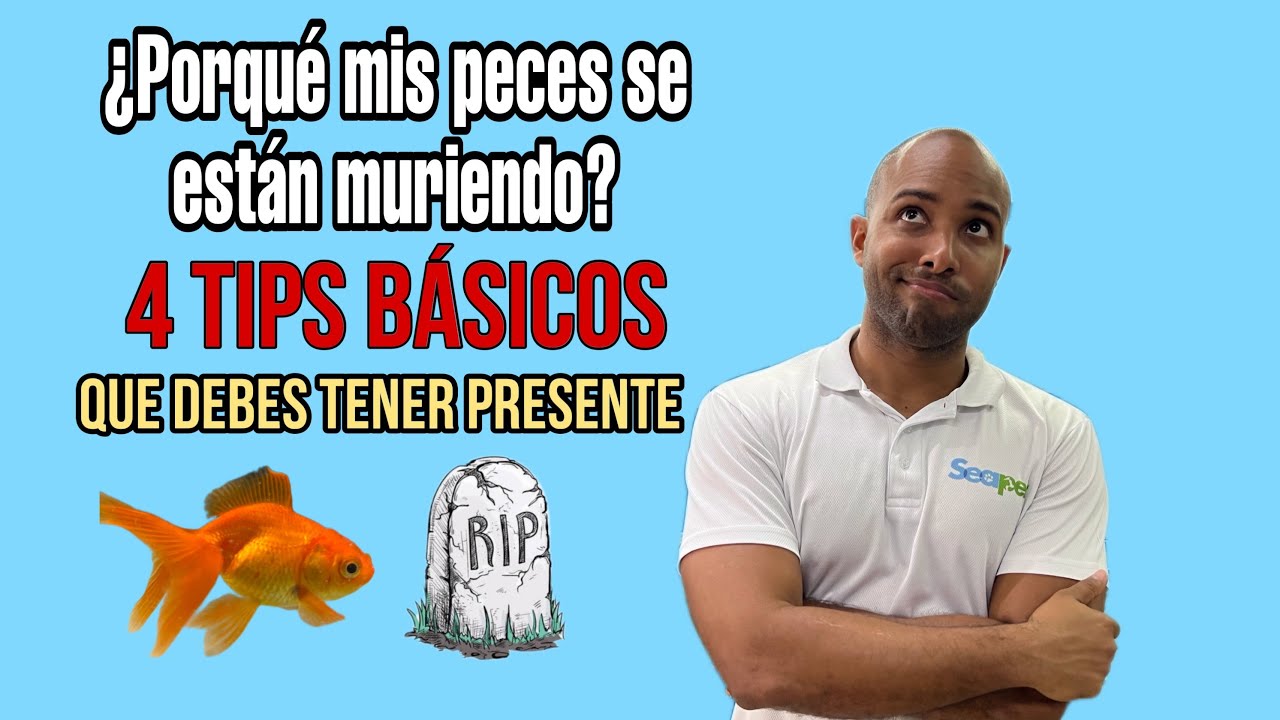 PORQU&Eacute; MIS PECES SE EST&Aacute;N MURIENDO