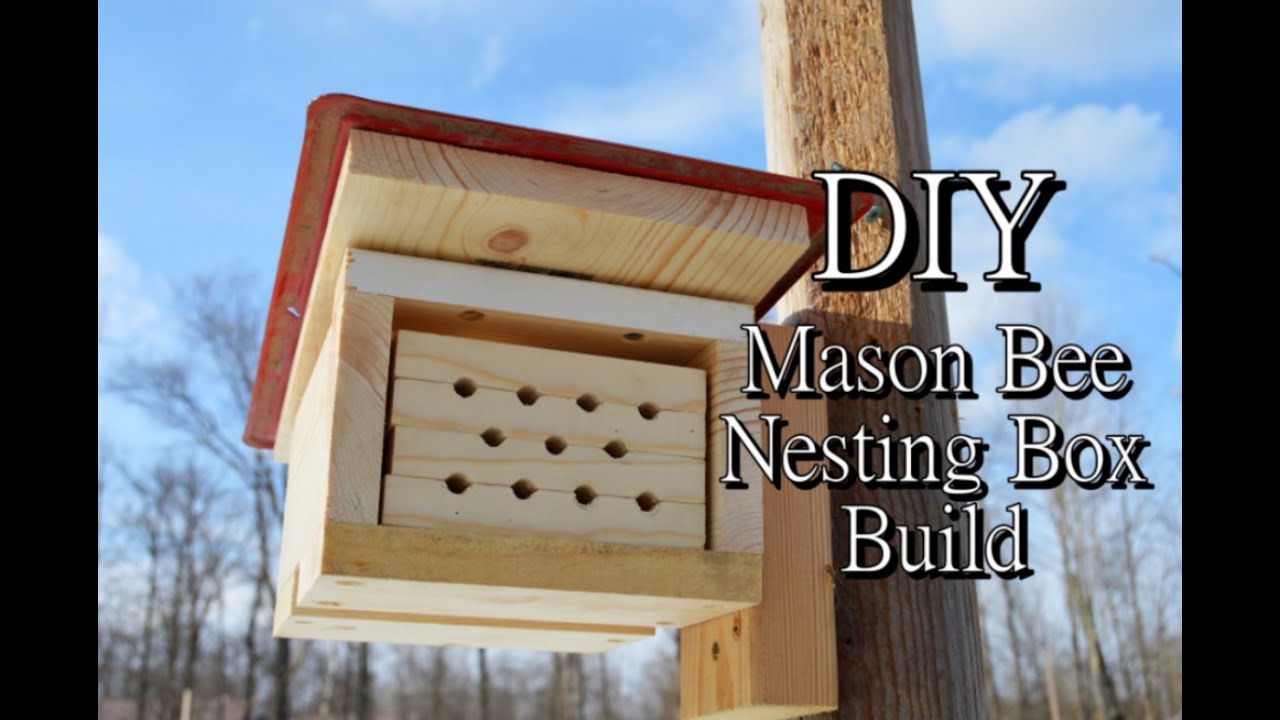 DIY Mason Bee Nesting Box