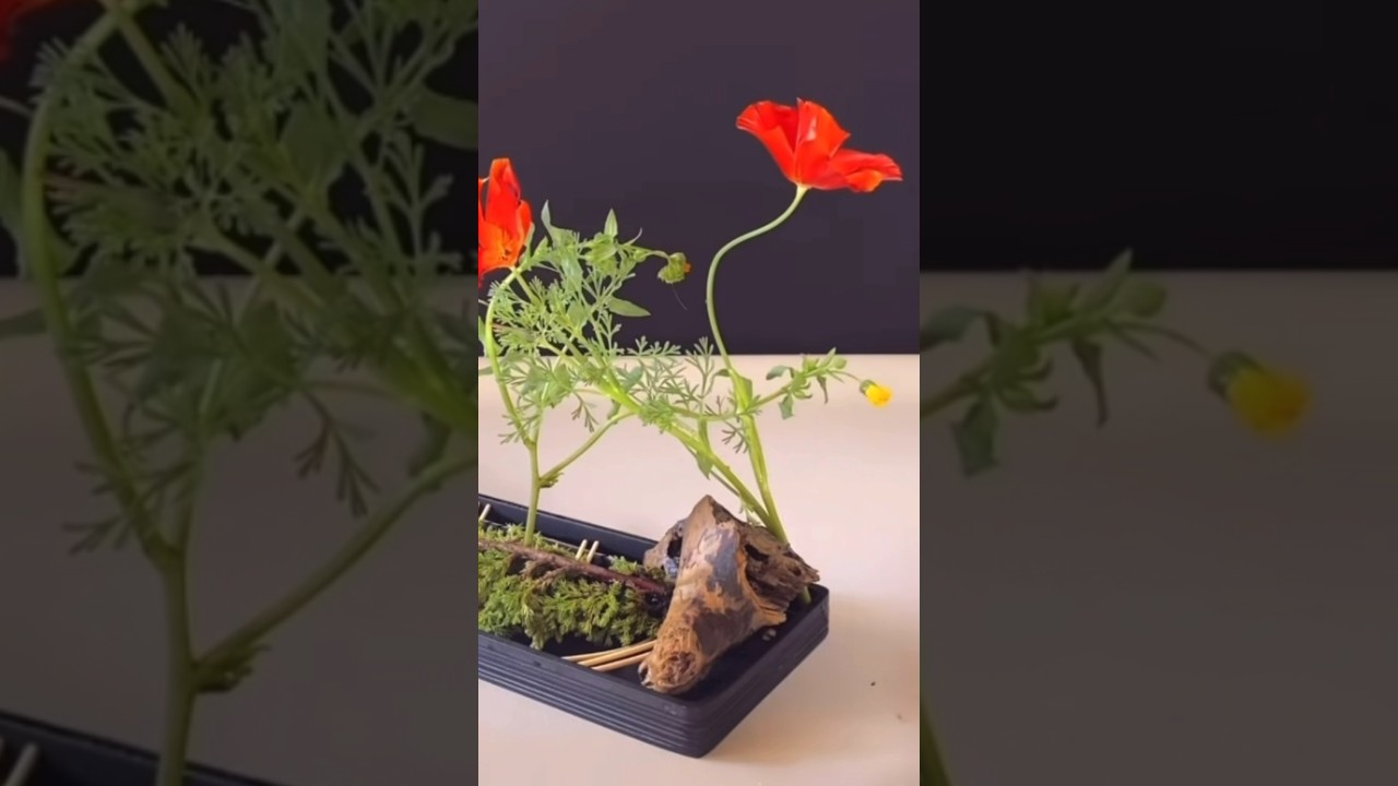 插花藝術-創意-簡單-優雅-易學 #diy #freshflowerarrangement