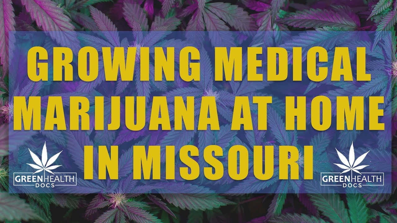 Missouri Rules For Growing Medical Marijuana At Home