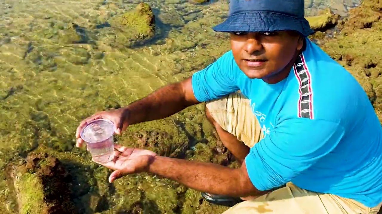 Exploring the Ocean Floor at Low Tide | Incredible Sea Creatures