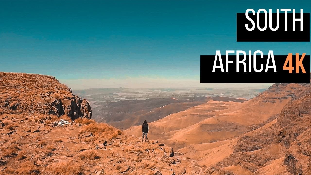 South Africa - Wild life | Travel video