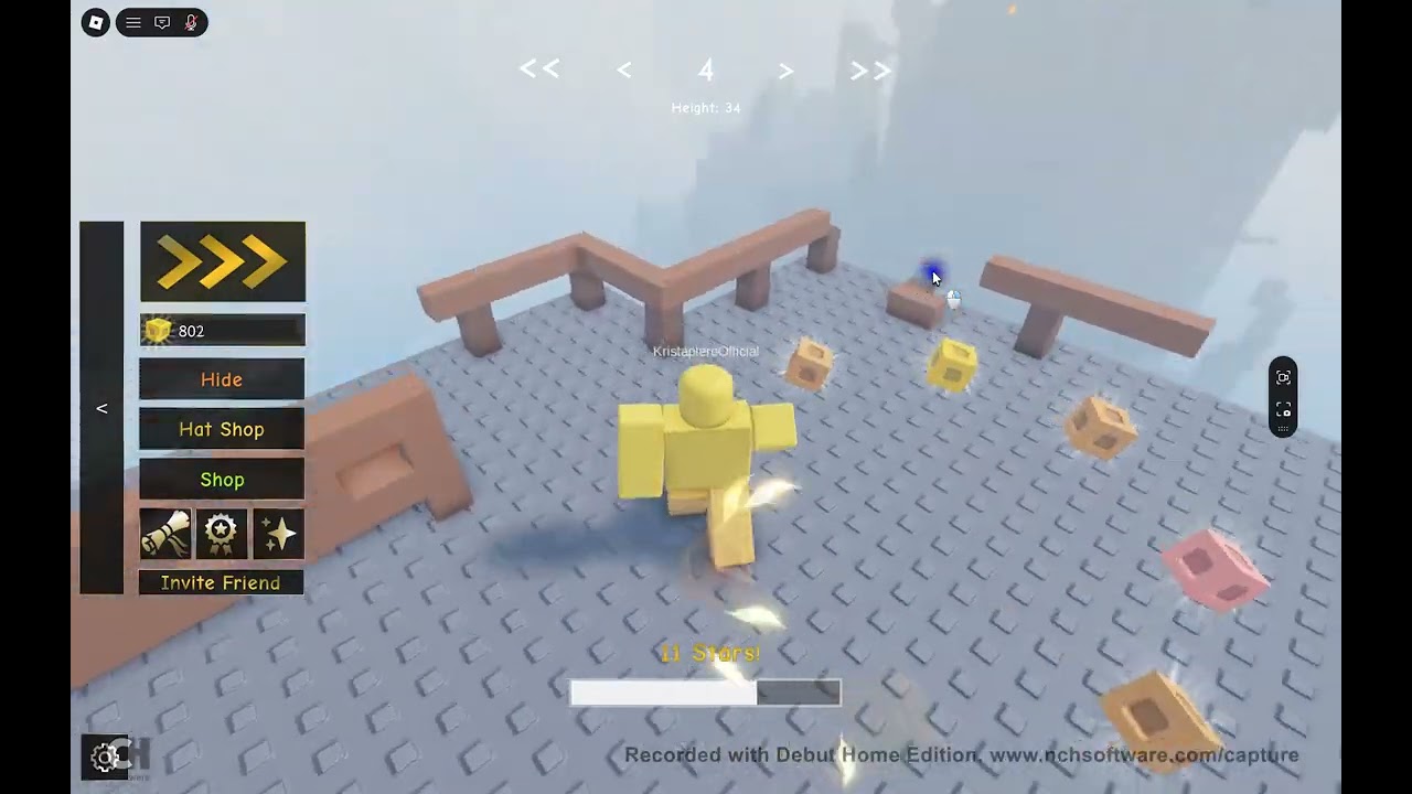 flightless bird obby spēlēšana