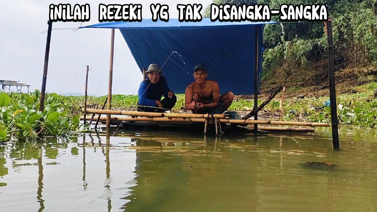 PESTA IKAN BAKAR‼️MANCING DISINI SELALU ADA POIN | fishing cooking