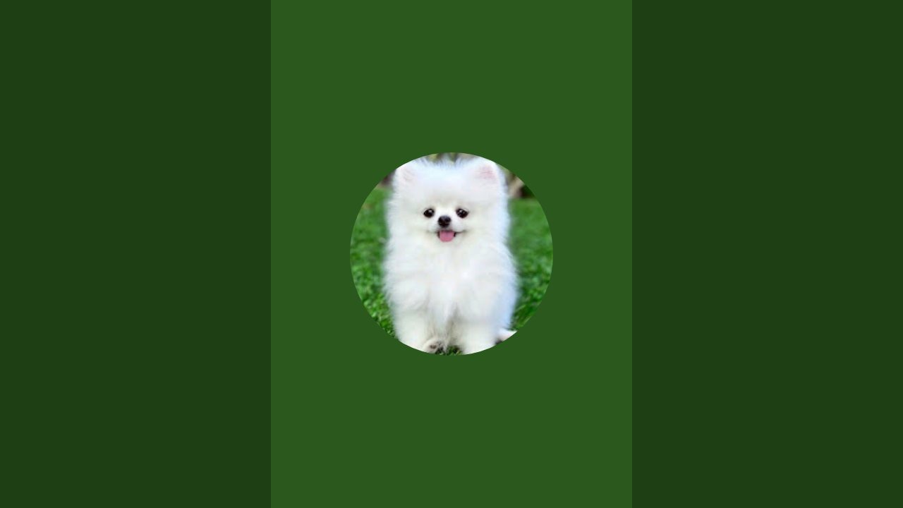 ANJU COOKING CHANNEL  is live!