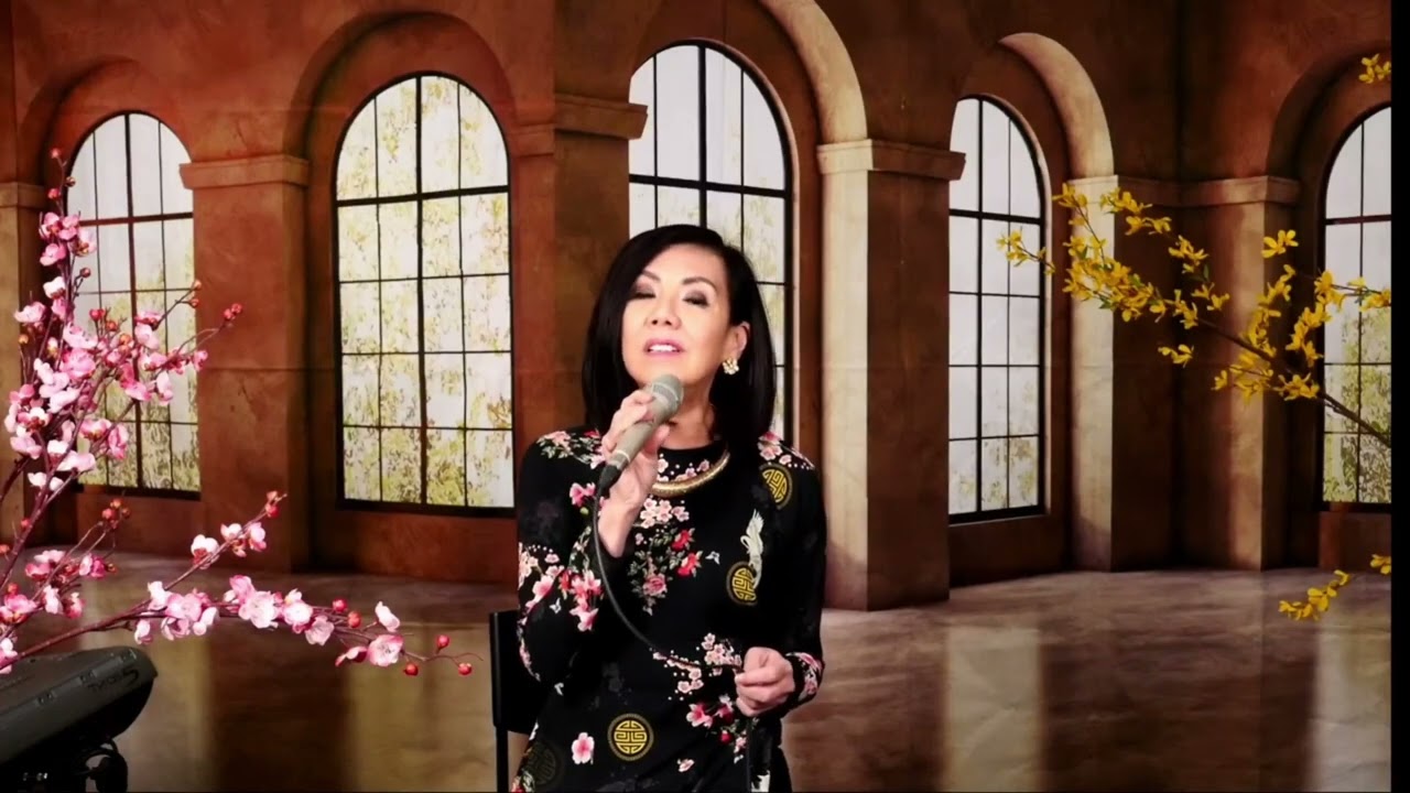 TÔI ĐI TÌM LẠI MỘT MÙA XUÂN- St. Đoàn Nguyên  - Tb. Minh Ngân 