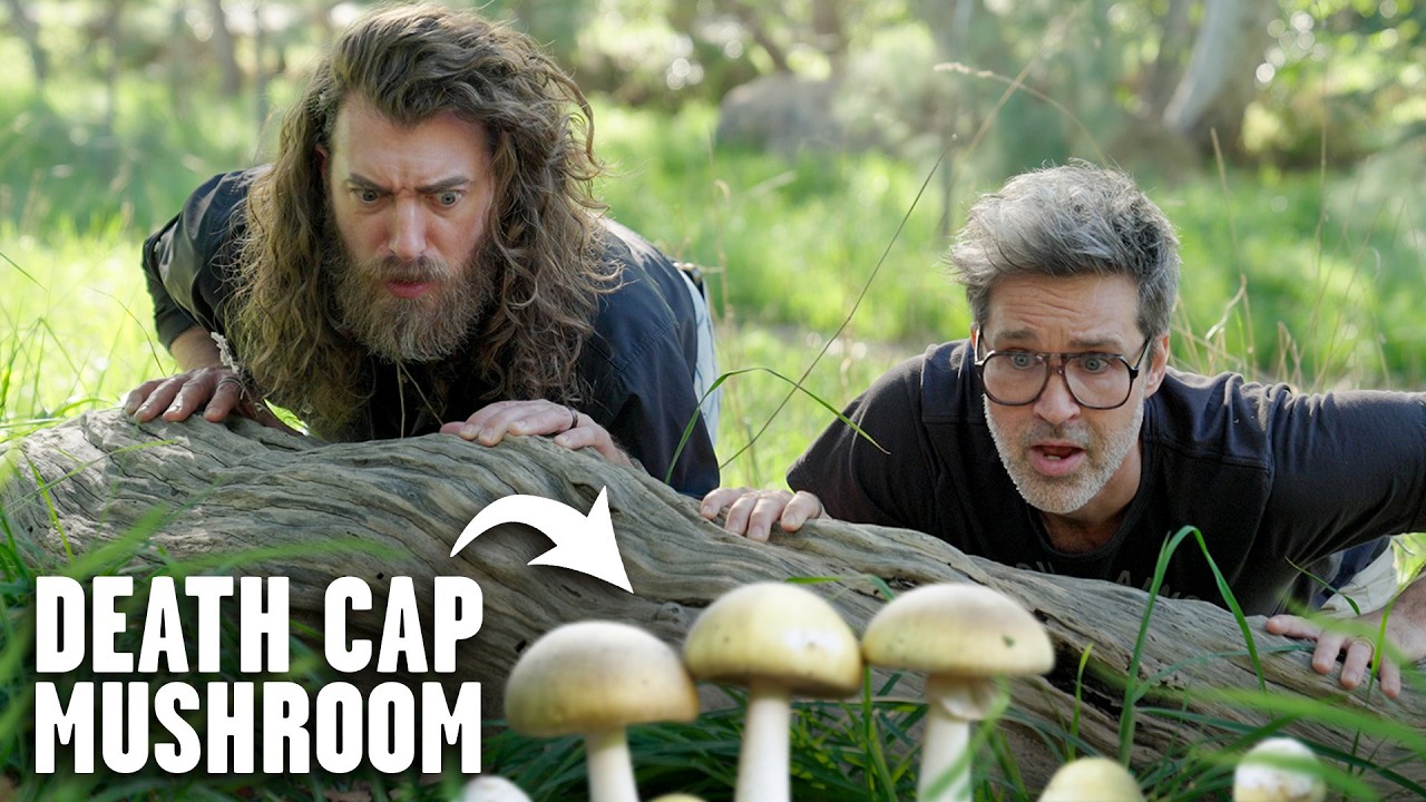 We Hunt For Mushroom Tacos In The Wild