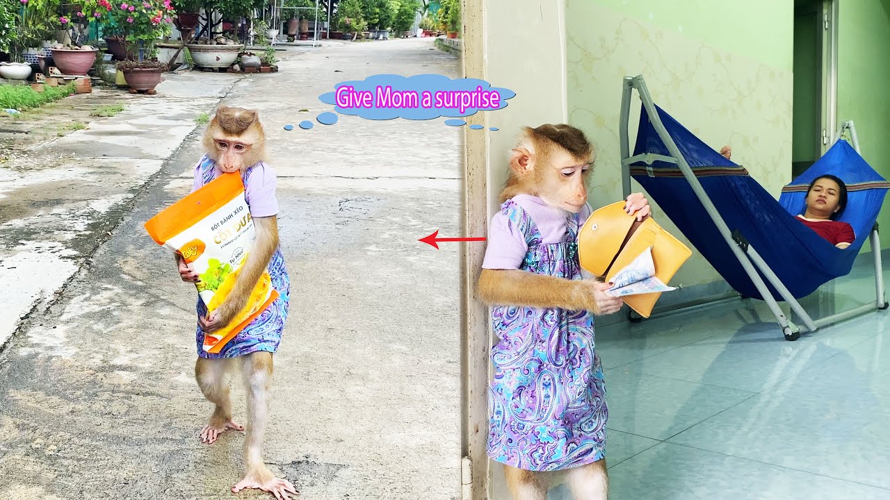 So clever... monkey Lyly secretly took her mother's money to buy flour to cook.