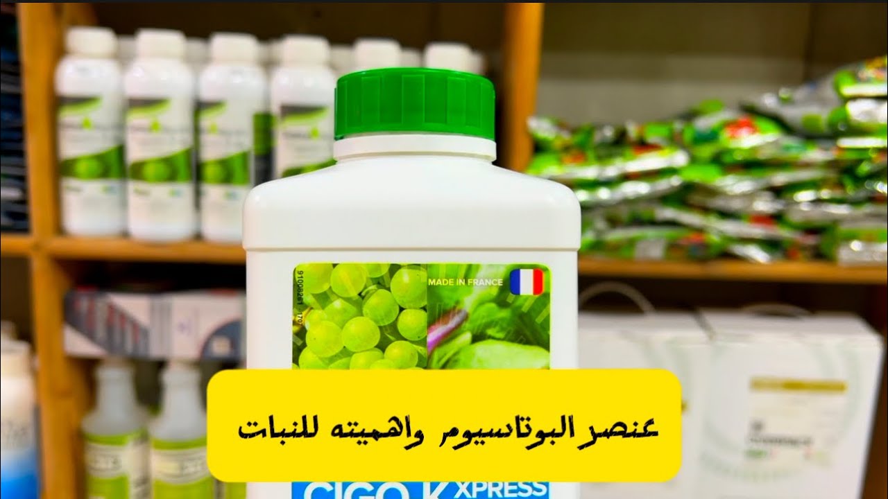 لماذا البوتاسيوم للنبات وما هو اهميتة وما هو الوقت المناسب لإضافتة ؟  الجواب في ٢ دقيقة فقط 👈