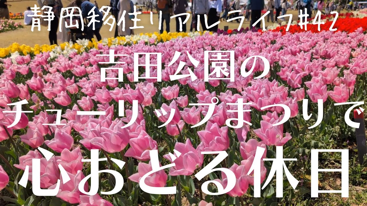 【静岡休日vlog】吉田公園でチューリップ祭り！色鮮やかな花の絨毯の感動体験│いちごパフェ│サスエ前田魚店