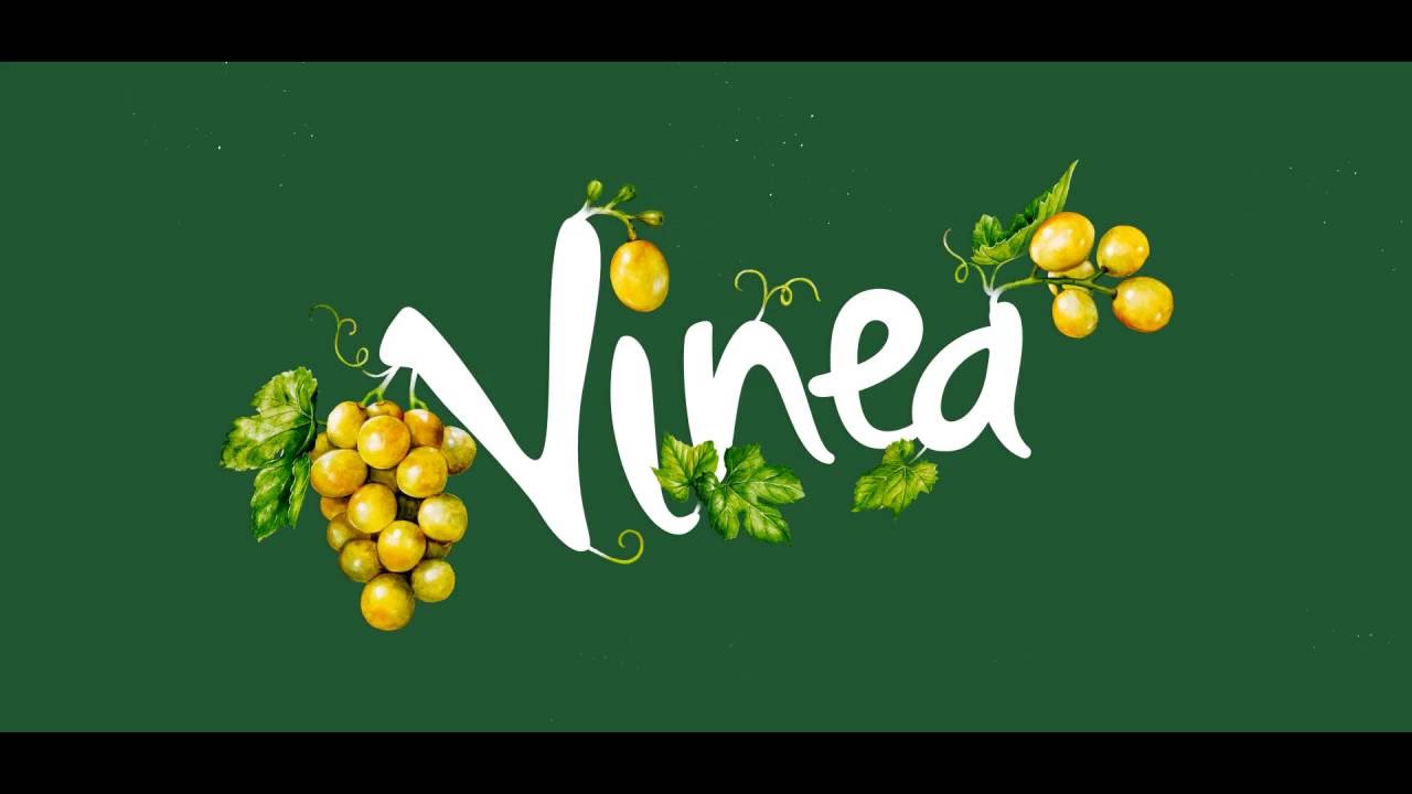 Vinea, na vinici to žije! (long)