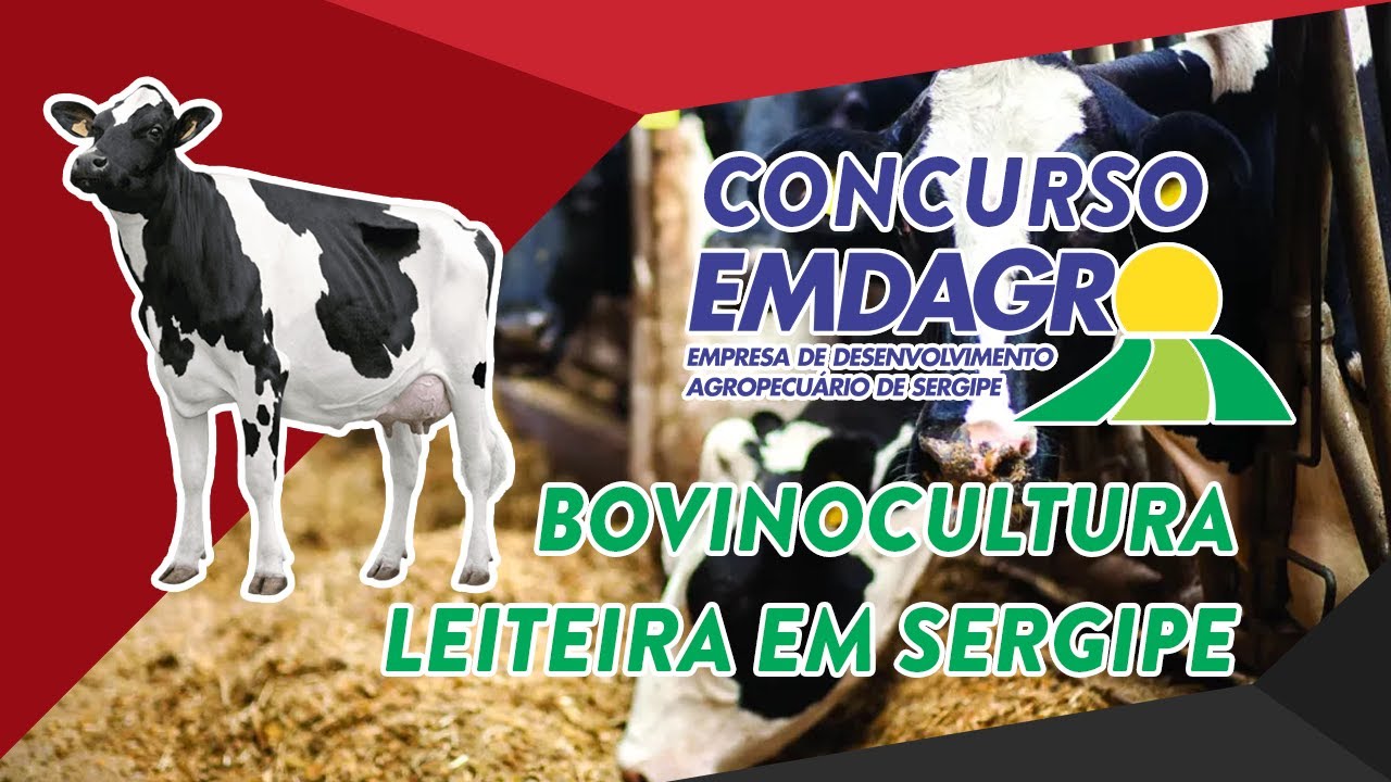 Aula - Bovinocultura Leiteira - Concurso Emdagro