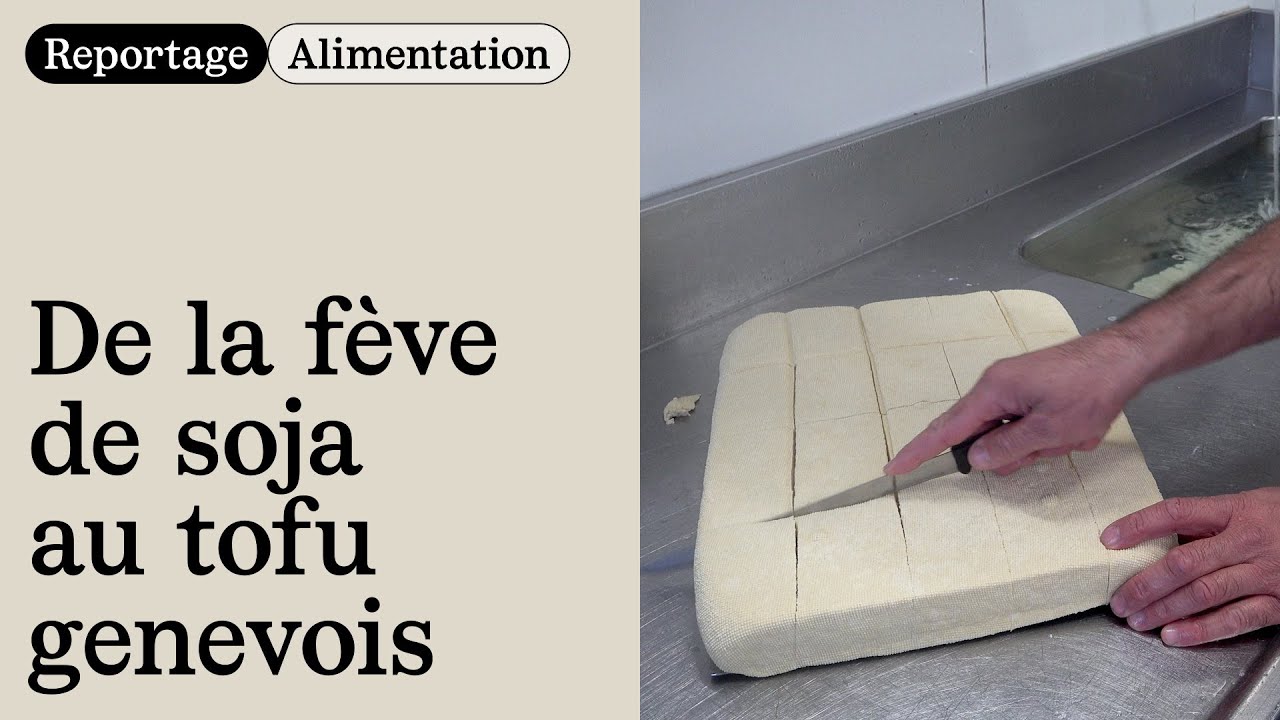 🌱 Le soja, douce protéine genevoise transformée en tofu à la ferme