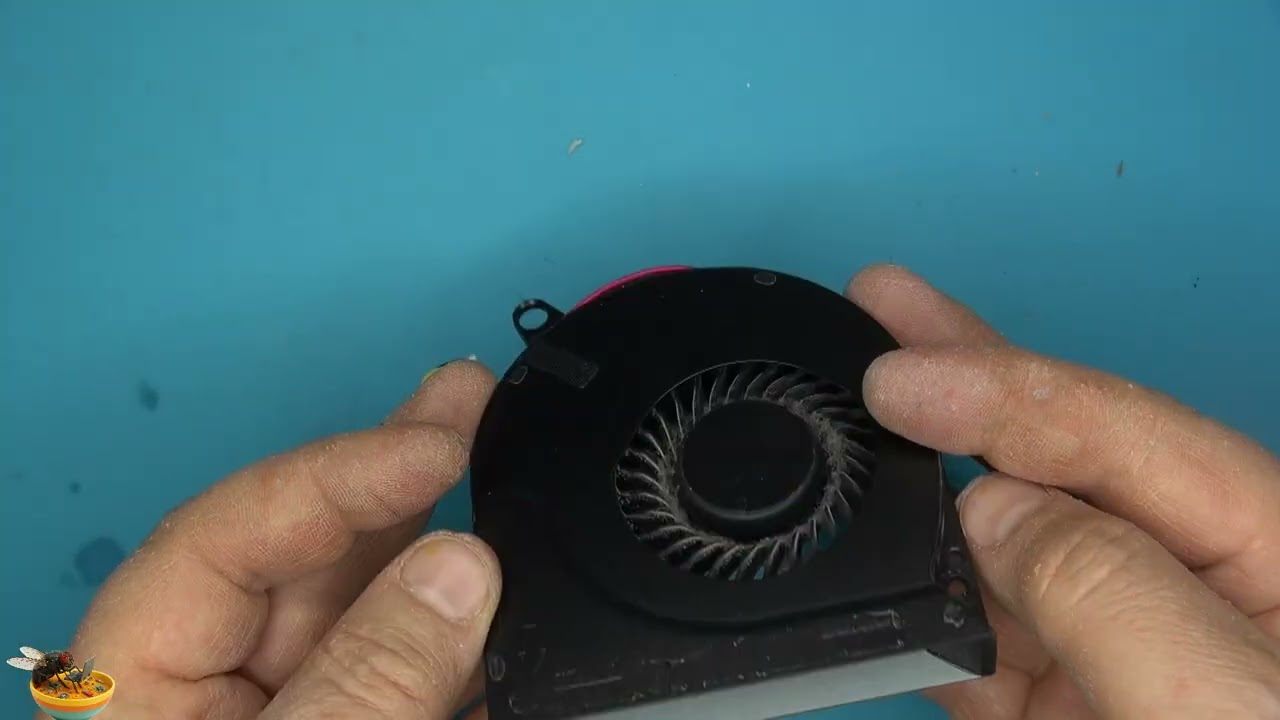 Профилактика Packard Bell EG70.