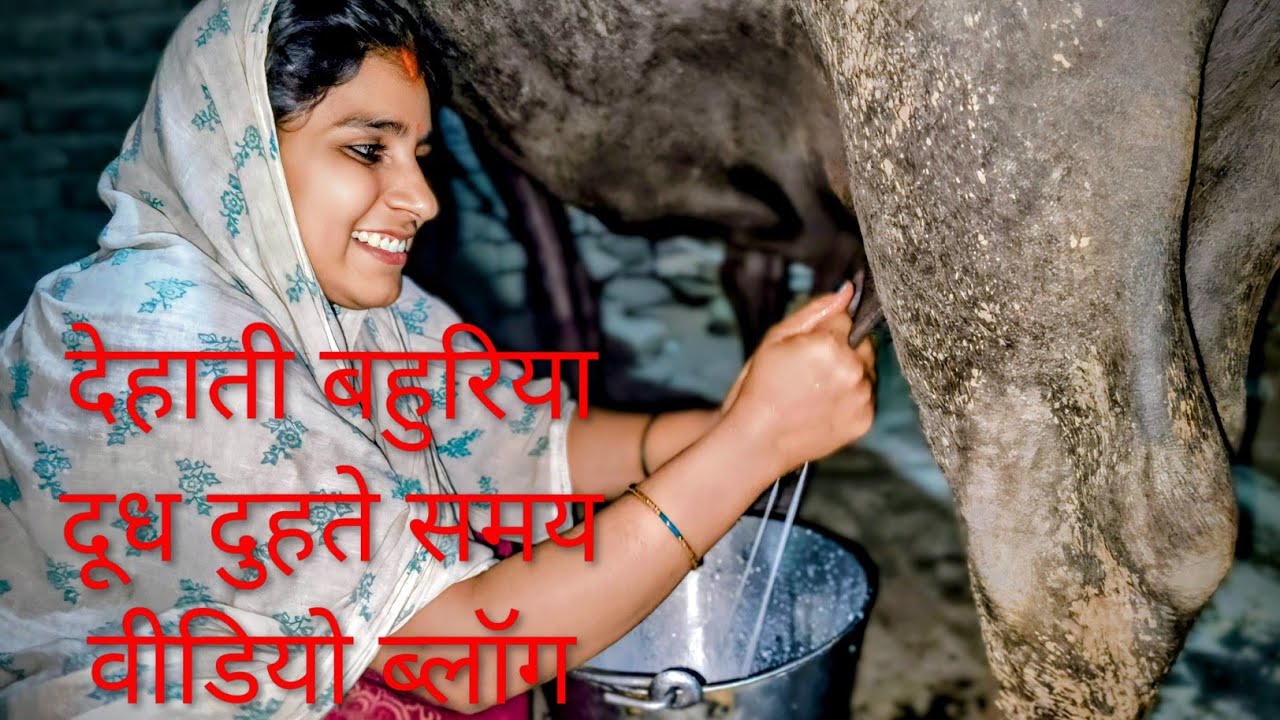 🌾✨ **Dehati Bahuriya: भैंस को दूध देते समय का शानदार वीडियो व Vlogs!**#DehatiBahuriya #VillageLife 
