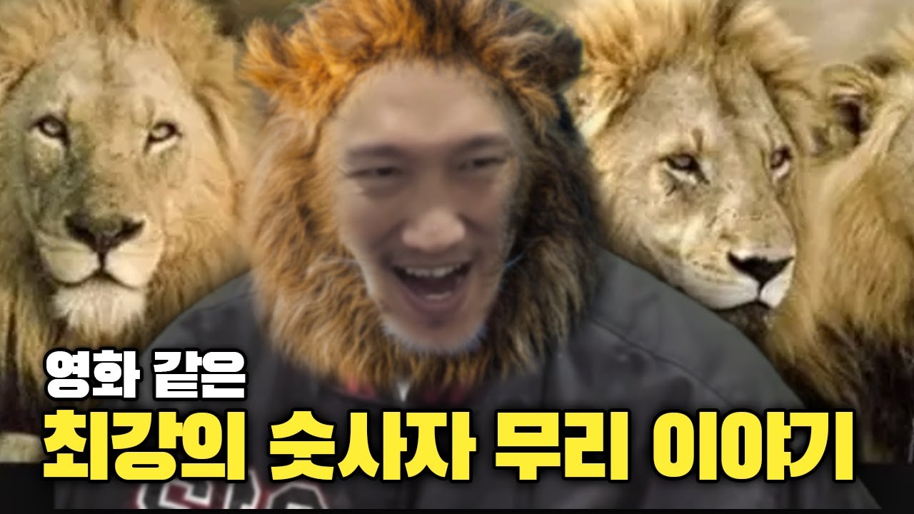 [흑자동물 1] 역대 최강 사자 '마포호 이야기'