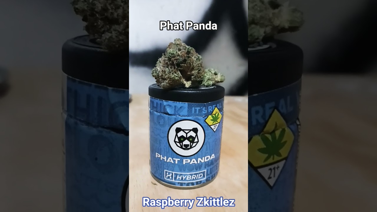 Smoking in that Phat Panda Raspberry Zkittlez Hybrid #marijuanareviews#cannabisreviews#weedreviews
