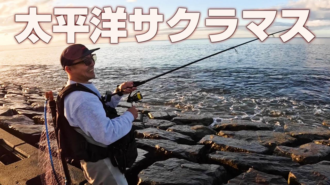 朝マヅメの海岸で桜鱒がドッチーンっときた