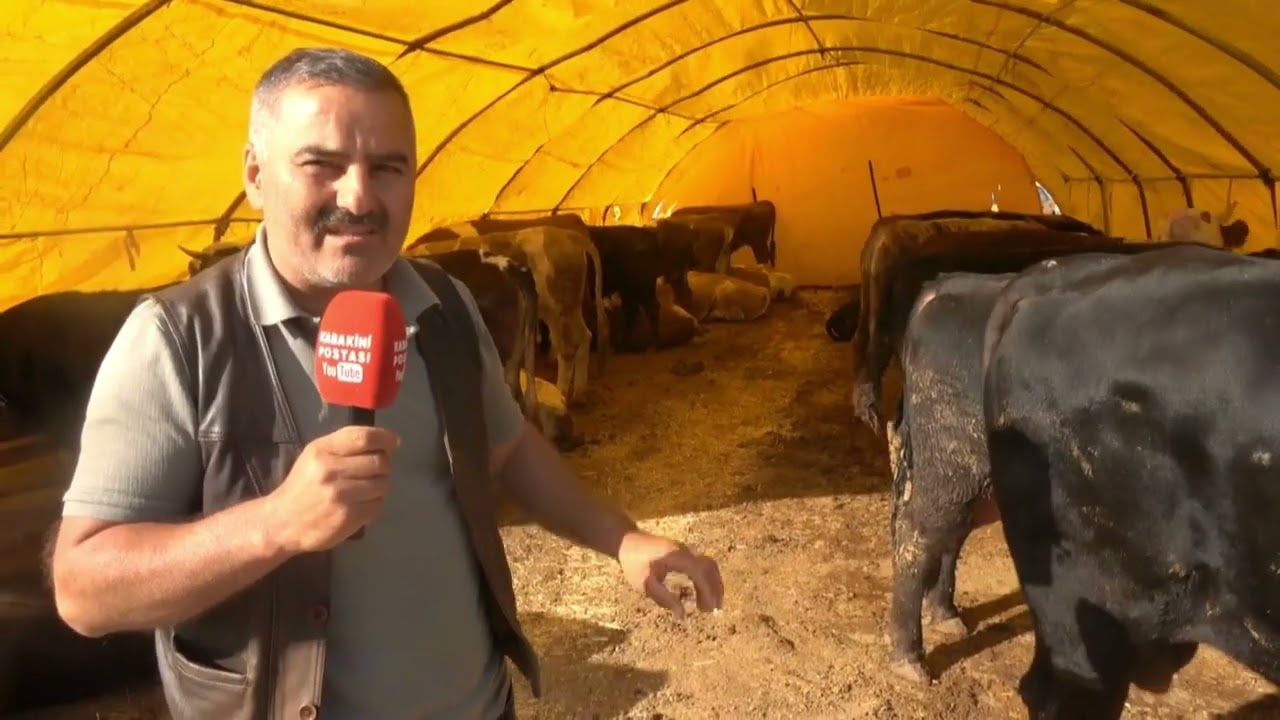🐏🐂🐪ANKARA MAMAK ORTA KÖY'DE KURBAN PAZARINDA HAREKETLİLİK